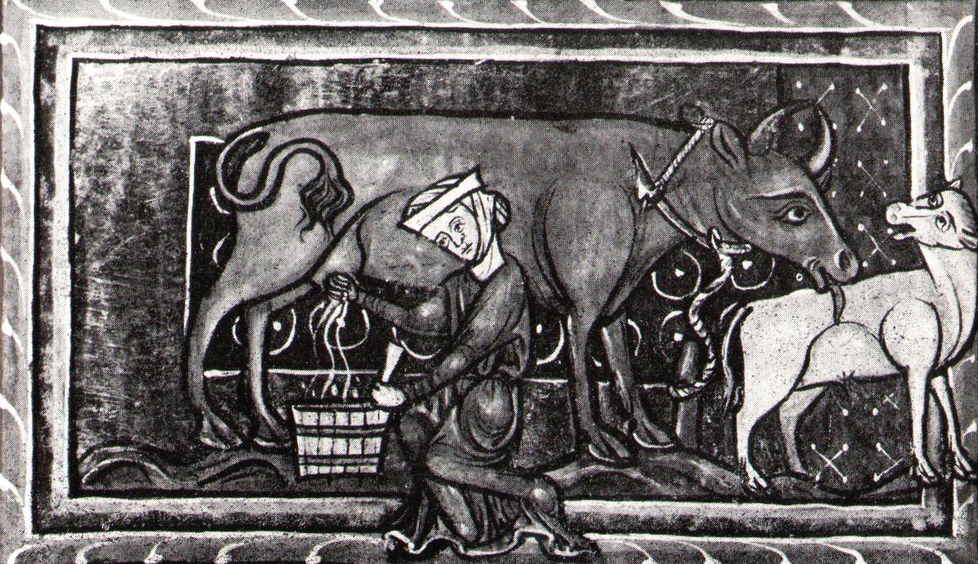 Medieval Depiction of Dairying