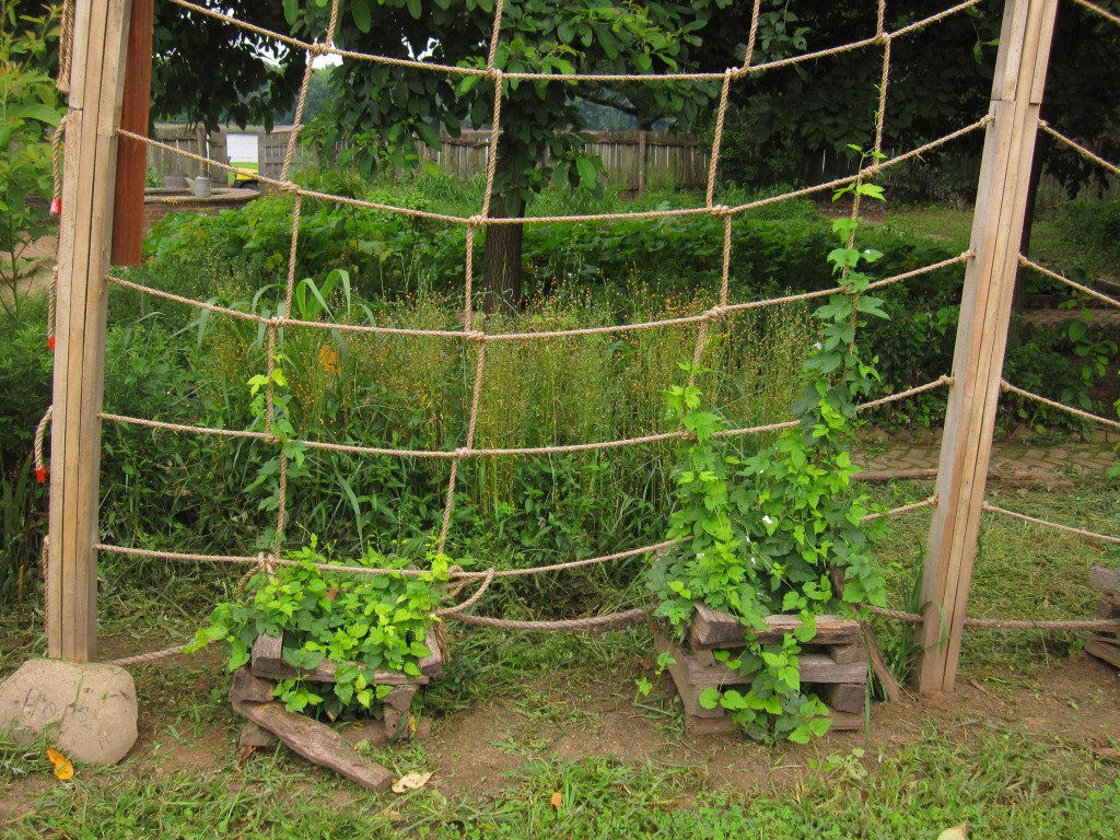 Pennsbury Manor | Pennsbury Garden Features Rope Hops Wall