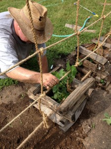 Pennsbury Manor | Pennsbury Garden Features Rope Hops Wall