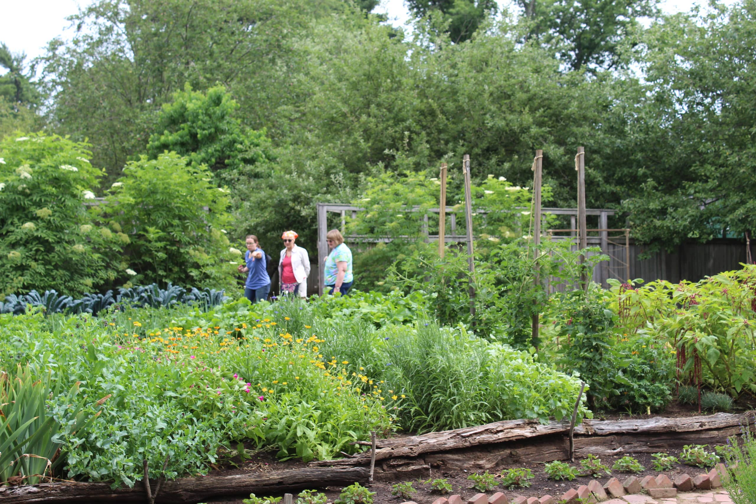 Pennsbury Manor | Garden Workshop