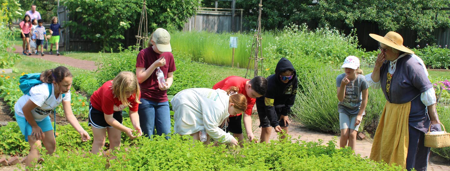 Students in the garden