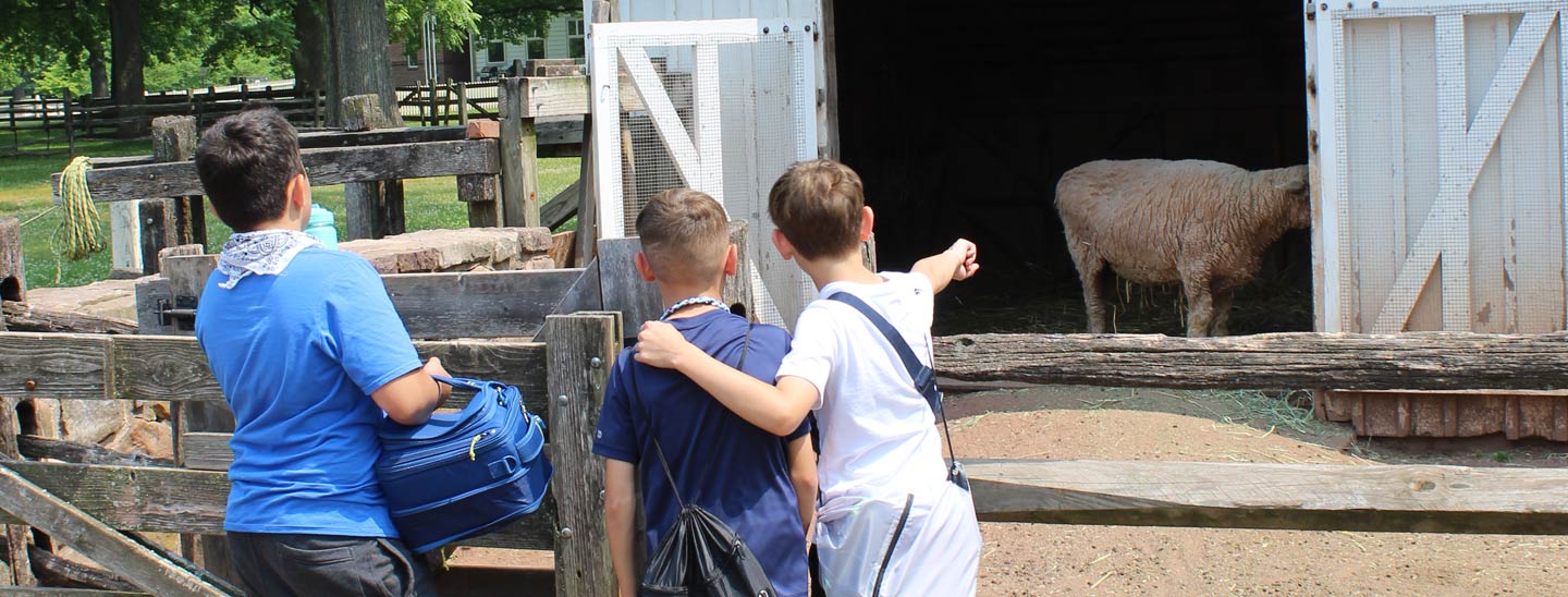 Students with the animals