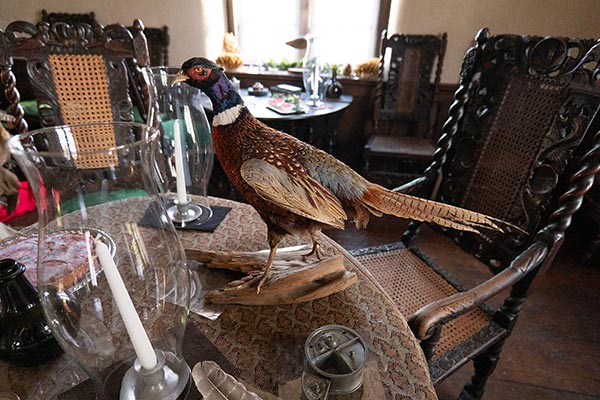 distance pheasant table P1000416