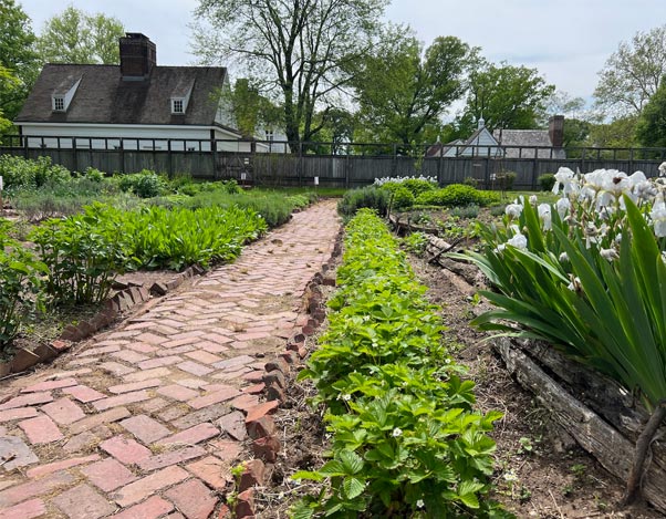 An American Timeline: Home Gardening in the U.S.