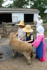 Three children dressed in colonial attire are touching a sheep.