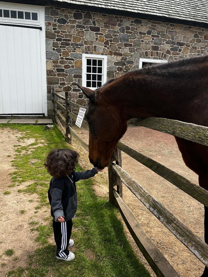 A young child reaches out to pet a horse.