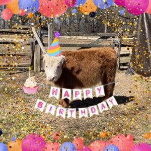 Daphne Birthday Photo Daphne Birthday Photo