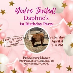 Daphne Birthday Social Post