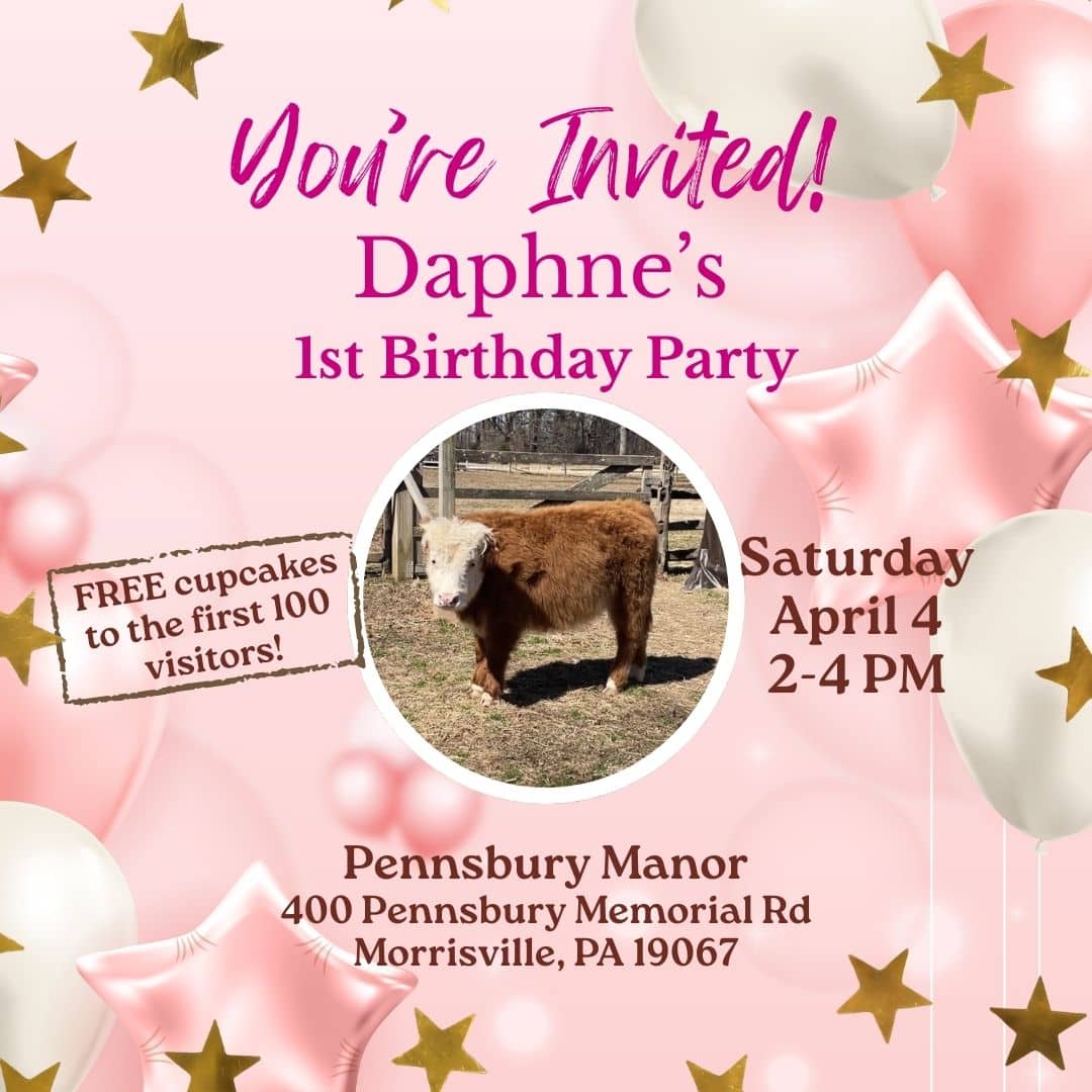 Daphne Birthday Social Post